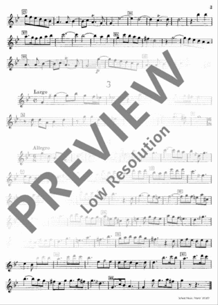 Sonata in G minor Flute scores gallery preview page 11