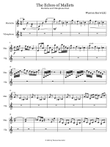 The Echos of Mallets